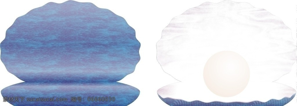 贝贝 贝壳 海洋 蓝色 珍珠 海洋生物 生物世界 矢量