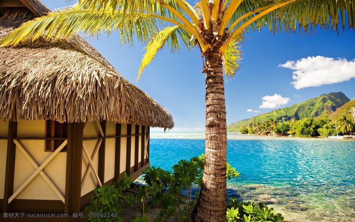 唯美 风景 风光 自然 海边 大海 波利尼西亚 波拉波拉岛 椰子树 小木屋 旅游摄影 国外旅游