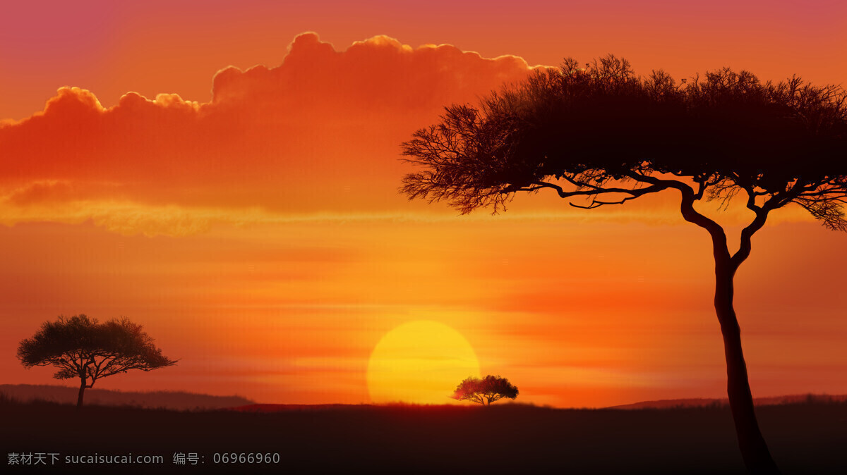 日出 日落 大树 剪影 大树剪影 黄昏 清晨 早上 草原 平原 天际线 地平线 太阳 平面素材 自然景观 自然风光