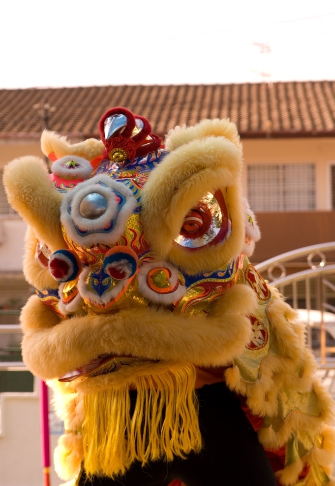 舞狮 南狮 中国 传统 文化 表演 艺术 瑰宝 节庆 华人 狮子 lion dance 一只 中国节庆 节日庆祝 文化艺术