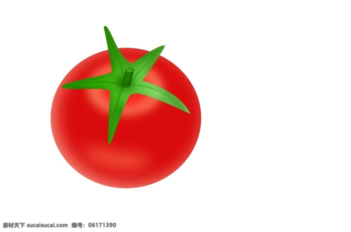 手绘 西红柿 蔬菜 插画 手绘西红柿 手绘蔬菜 美味的西红柿 红色番茄插画 有机蔬菜 西红柿插画
