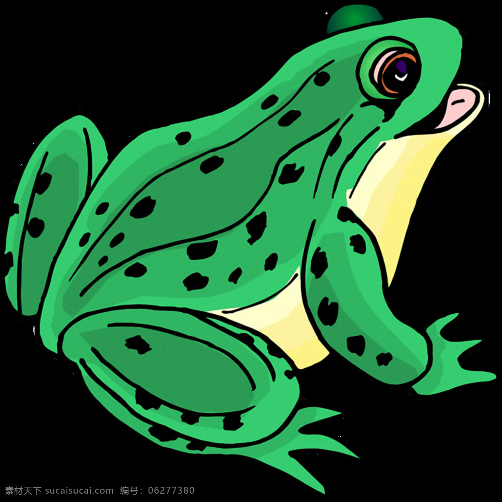 漂亮 手绘 绿色 青蛙 免 抠 透明 漂亮青蛙图片 青蛙图片素材 元素 青蛙广告图 青蛙素材 蛙类动物