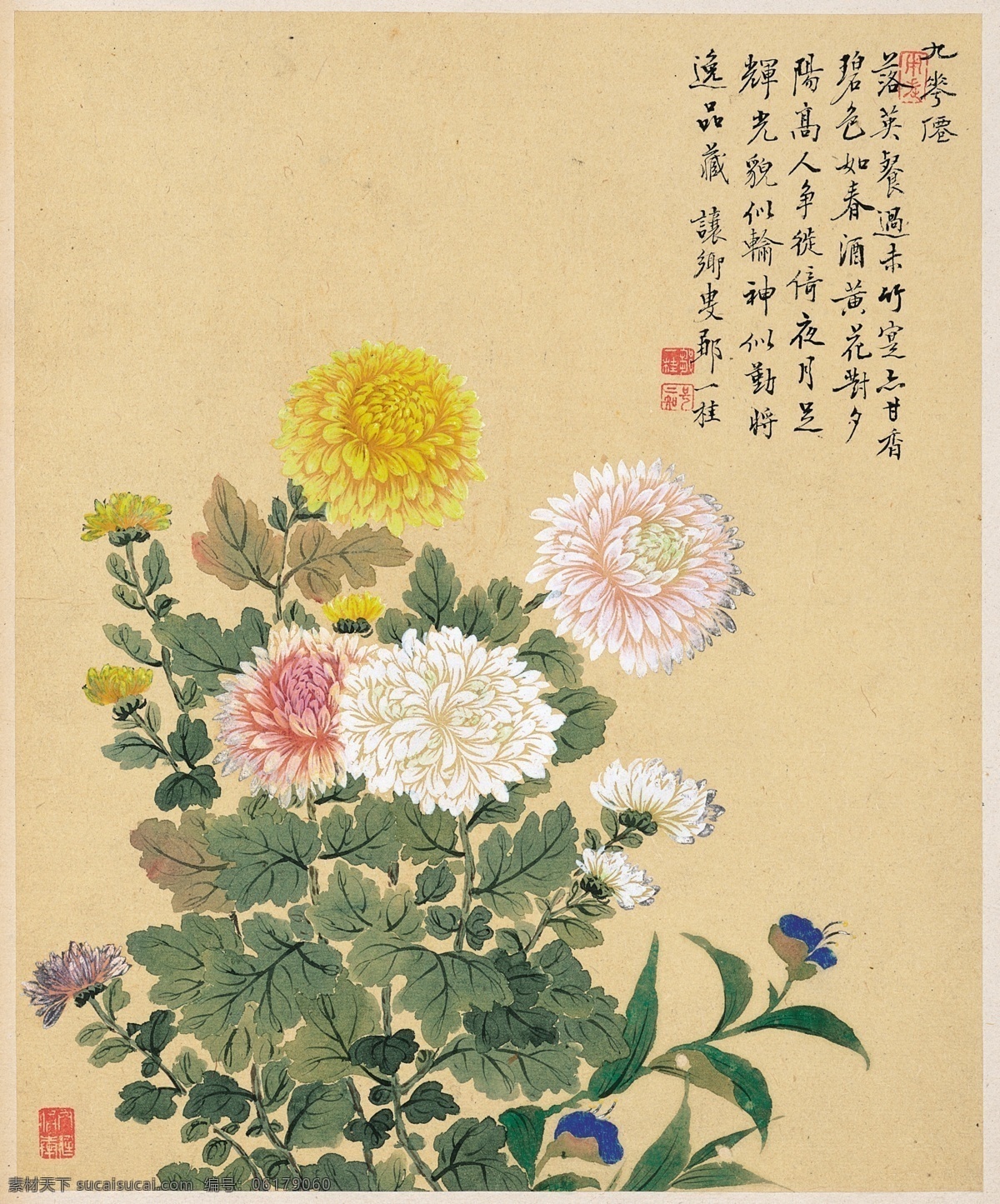中国 风 花鸟 工笔画 花卉图 花卉 鸟雀 风景画 花卉写生 植物花朵绘画 装饰画 中国风 花草绘画 蝴蝶昆虫绘画 复古绘画 名家绘画 清代画家 花卉集 字画 水彩植物 花鸟册 中国画 工笔画鸟 工笔 古代 花鸟鱼虫 植物图谱 植物图集 画家绘画 历代 国画 文化艺术 绘画书法