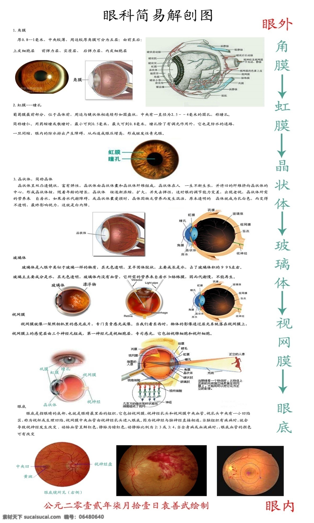 眼科 简易 解 刨 图 角膜 虹膜 瞳孔 晶状体 玻璃体 视网膜 眼底 广告设计模板 源文件