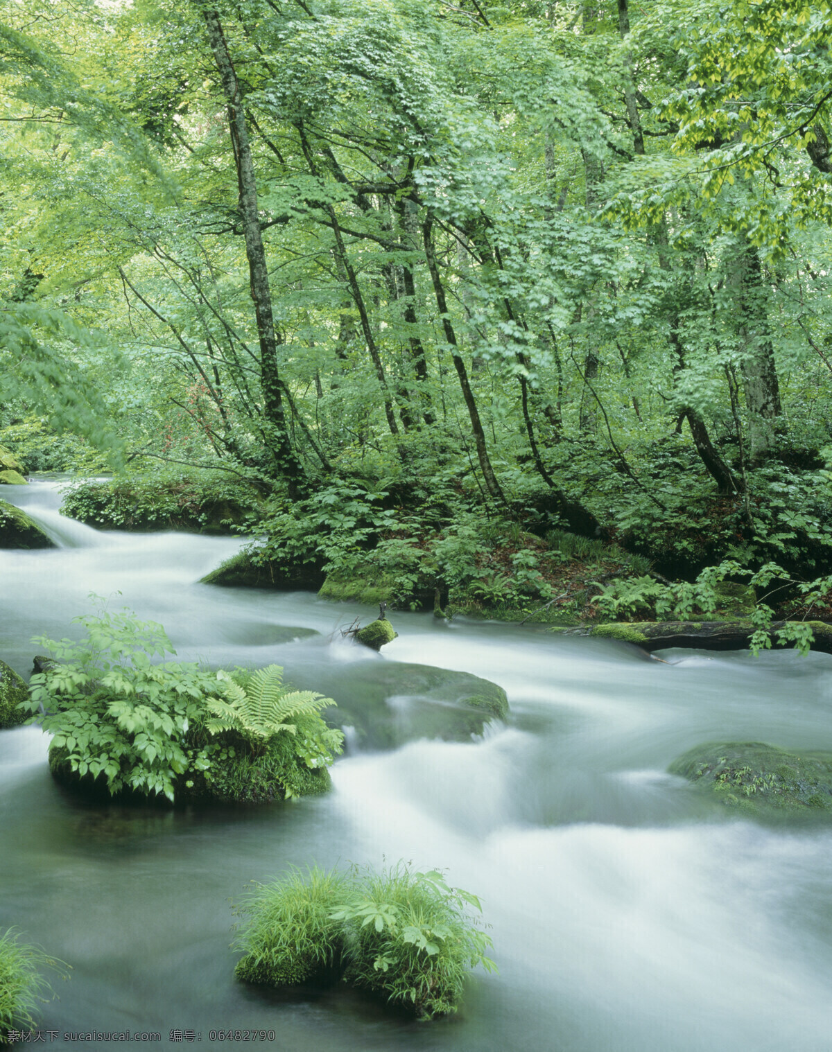 绿树 河流 自然景观 高山 青山 瀑布 树木 树林 岩石 石头 青草 景色 景观 自然景色 野生 旅游 高清图片 山水风景 风景图片