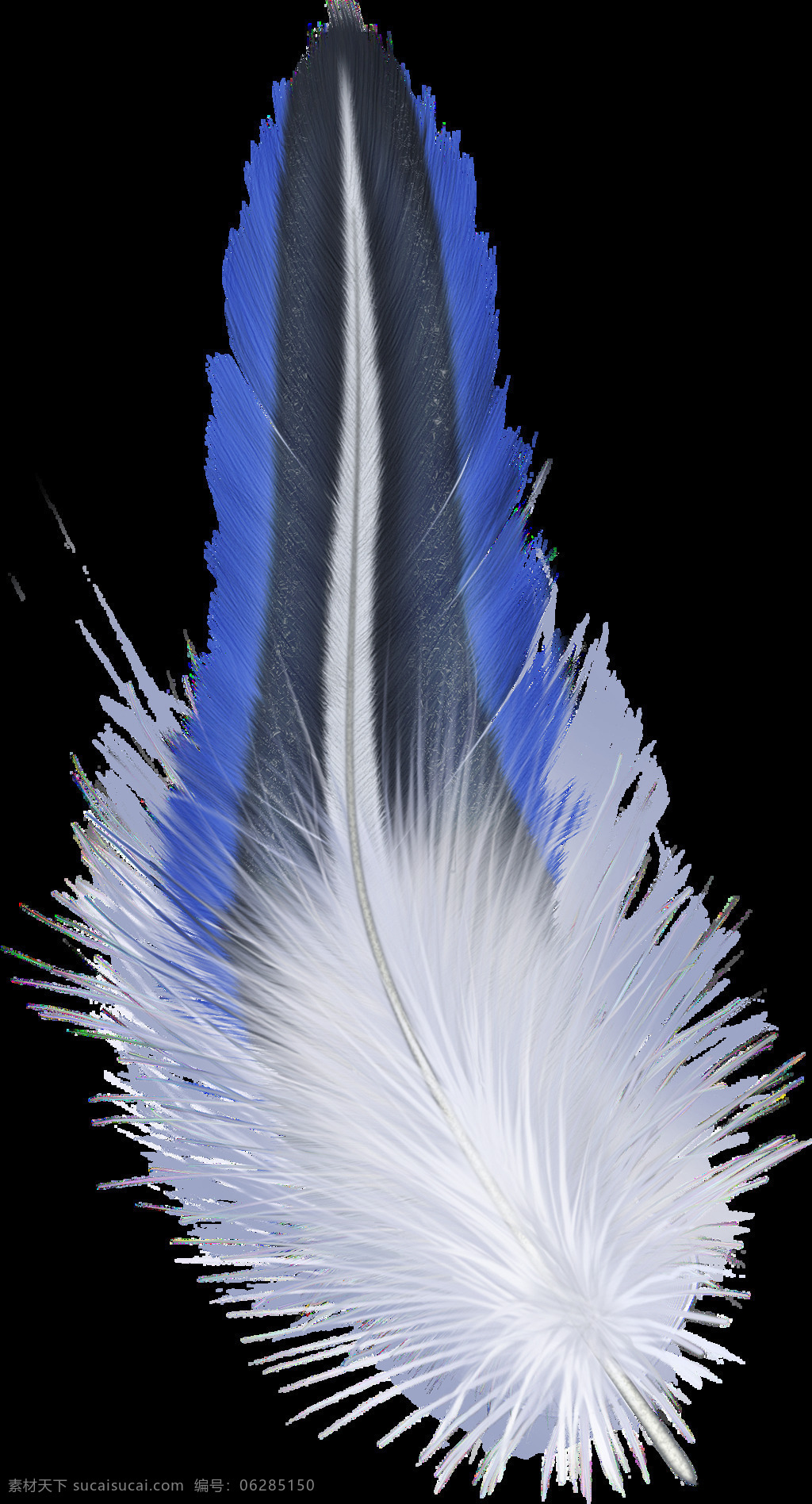 卡通 蓝色 羽毛 元素 png元素 飞禽 免抠元素 鸟类 透明素材