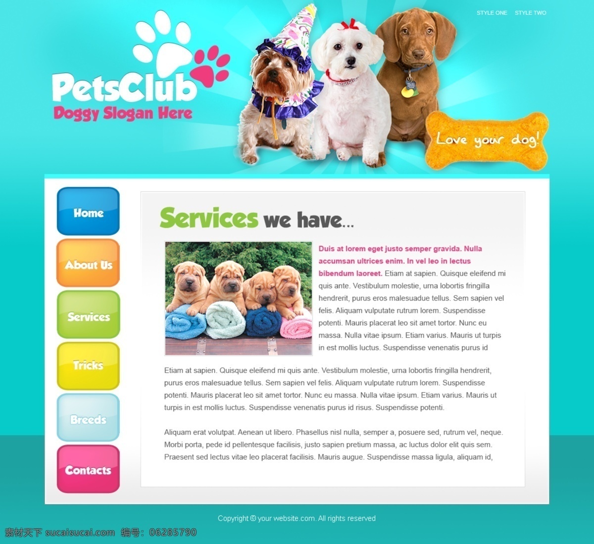 宠物 俱乐部 网页模板 网页素材 网页代码