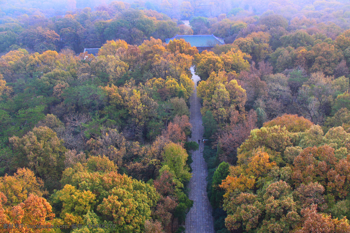 南京 灵谷 寺 风景 南京灵谷寺 灵谷塔 锺山风景区 蓝天绿树 旅游景点 旅游 东郊 风景区 风光 旅游摄影 国内旅游