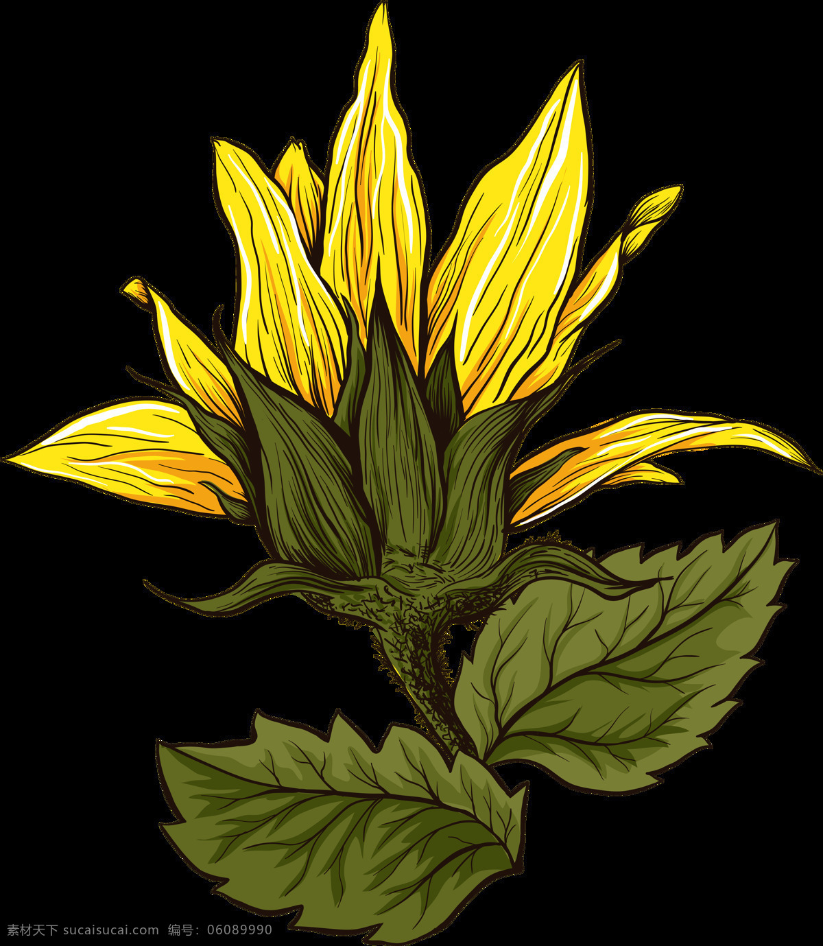 水彩 手绘 植物 向日葵 花朵 涂鸦 创意 插画图案 太阳花 绿叶 文化艺术 绘画书法