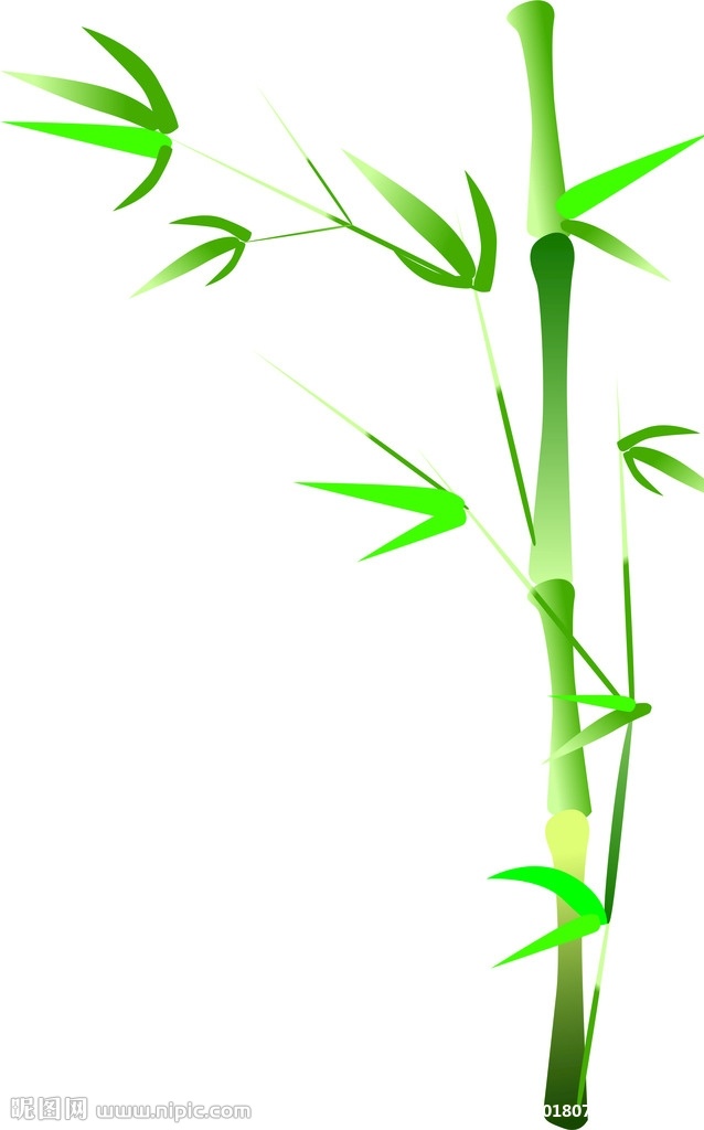 卡通竹子 绘制竹子 儿童可爱竹子 自然风景竹子 自然景观