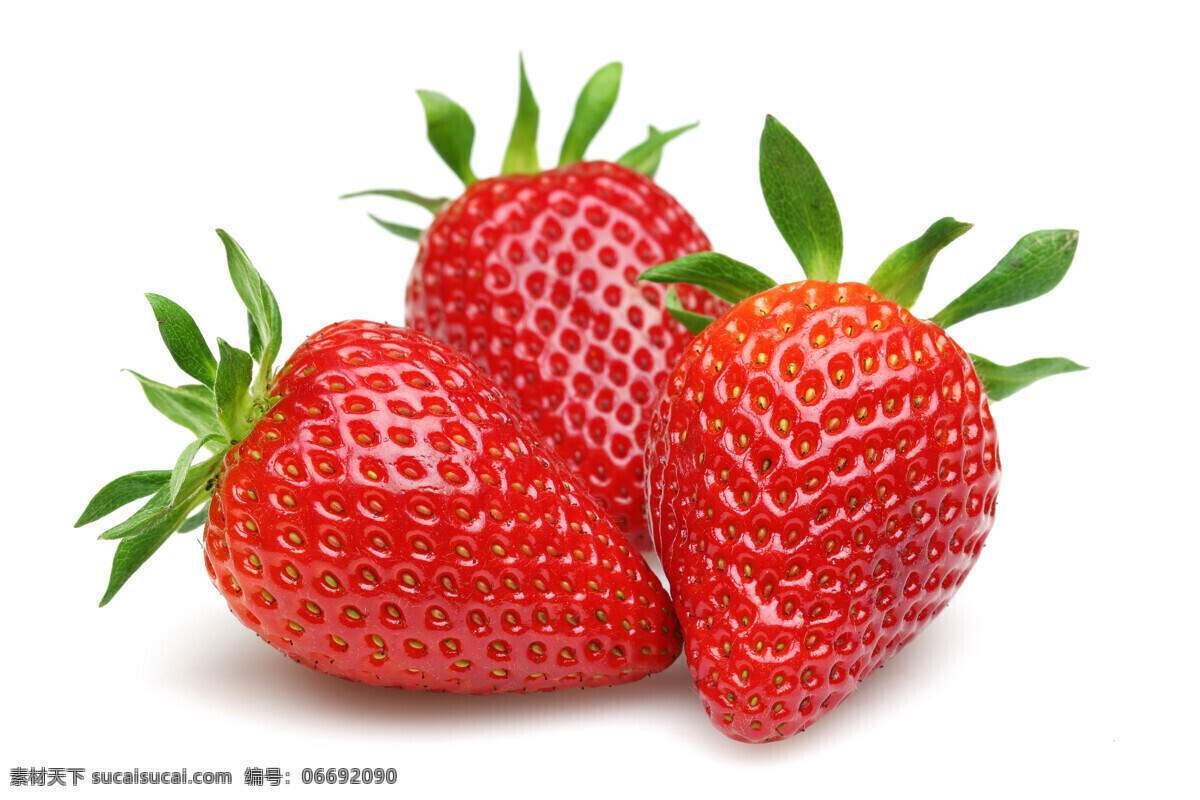 唯美 新鲜 水果 鲜果 草莓 生物世界