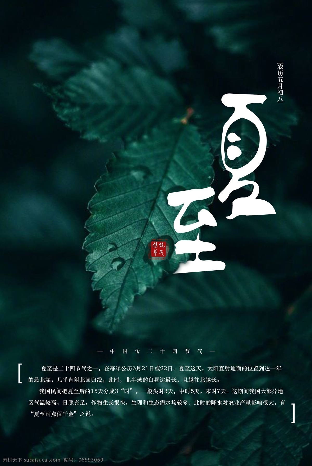 中国 二十四节气 夏至 海报 传统节气 绿色 叶子海报