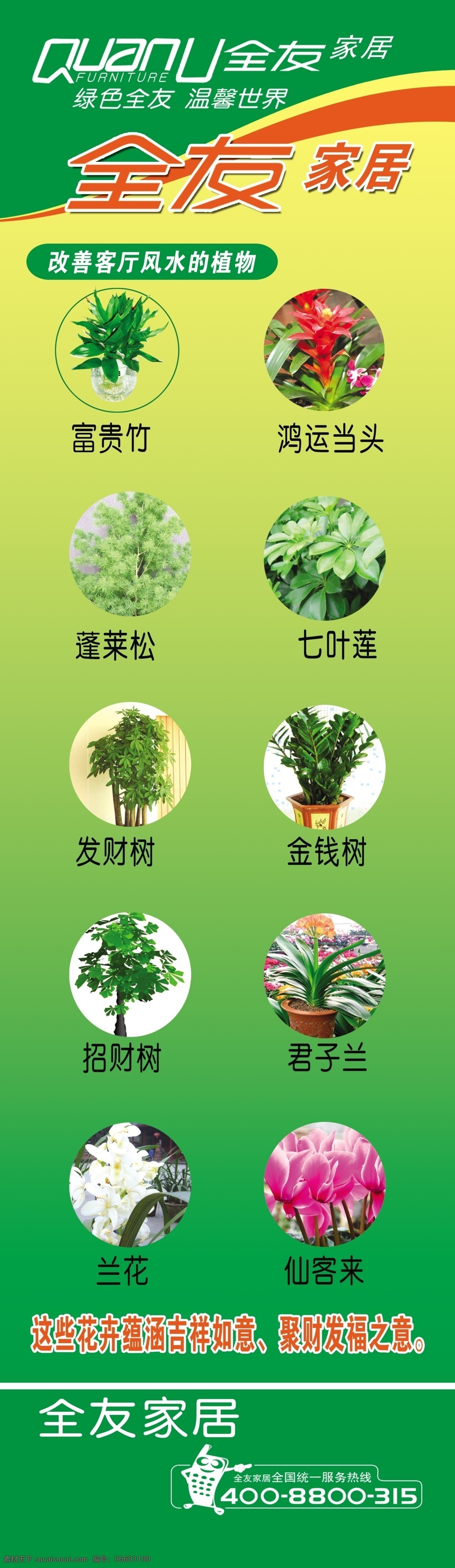 发财树 富贵竹 广告设计模板 鸿运当头 源文件 改善客厅 各种有益植物 蓬莱松 金钱树 全友 家居 标志 其他海报设计