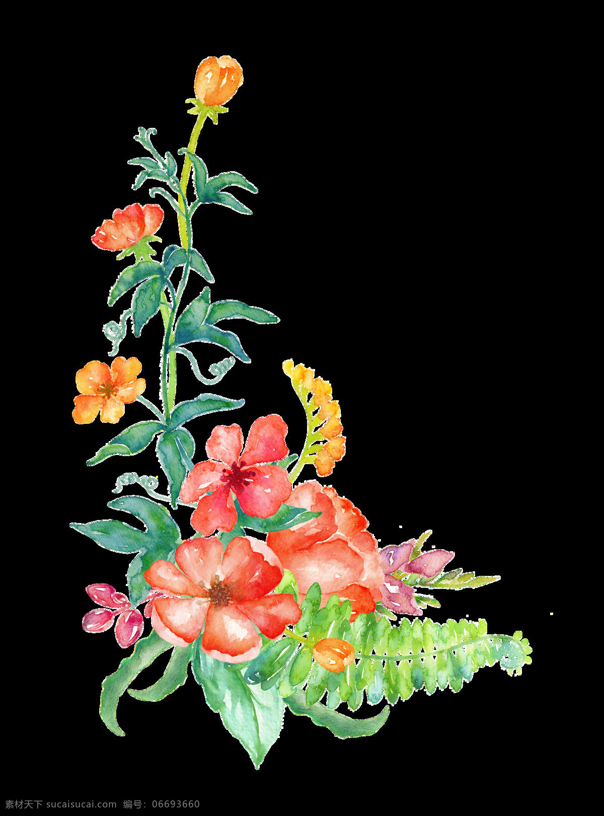 南瓜 花丛 透明 蔬菜 花束 透明素材 免扣素材 装饰图案