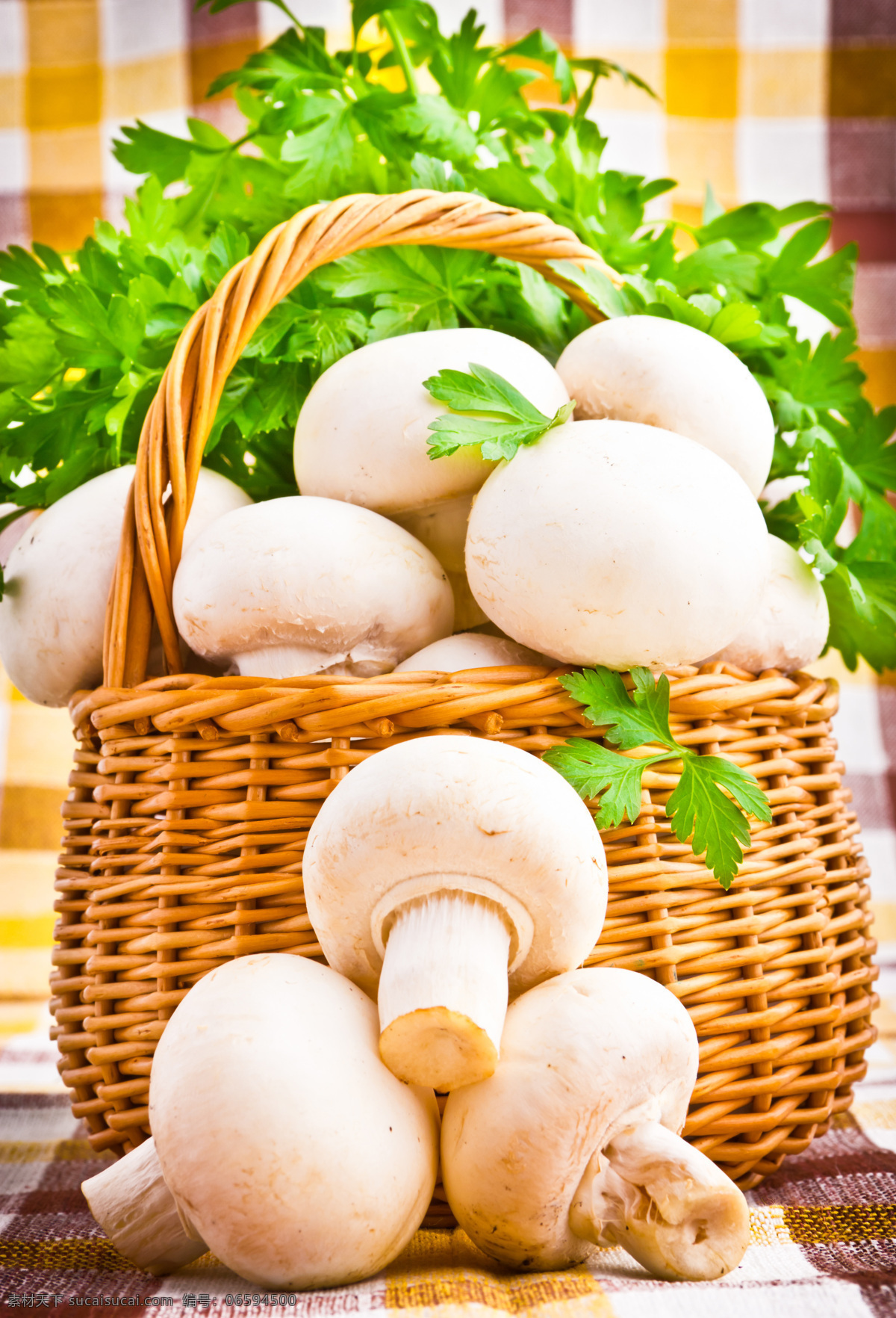 蘑菇 青菜 背景 叶子 蘑菇素材 蘑菇摄影 美食 食物 篮子 蔬菜 水果蔬菜 餐饮美食 白色
