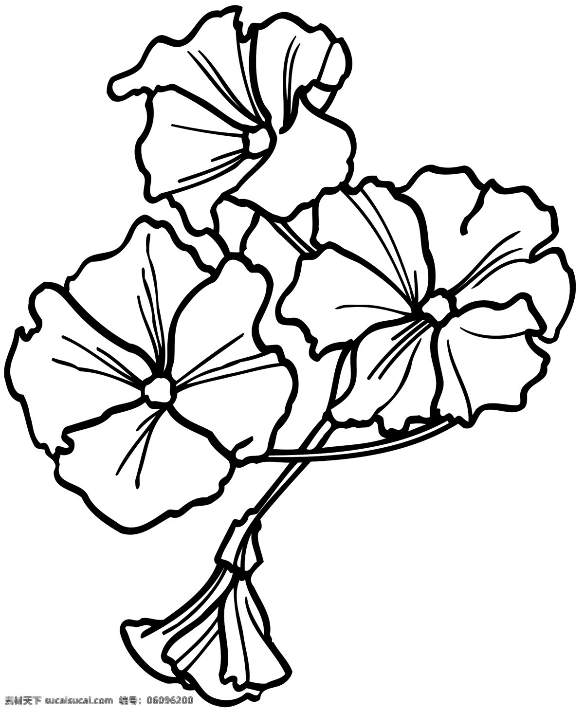 鲜花 花卉 矢量素材 格式 eps格式 设计素材 花草世界 矢量植物 矢量图库 白色