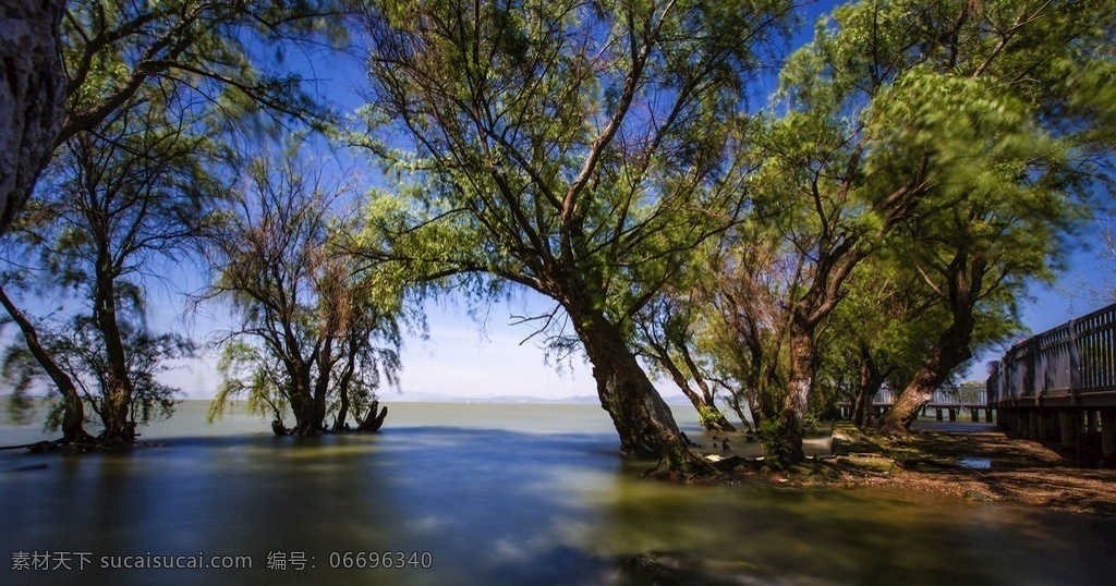 昆明 捞 鱼 河 湿地 公园 高清 自然风光 2k 捞鱼河 湿地公园 风景 自然景观 风景名胜