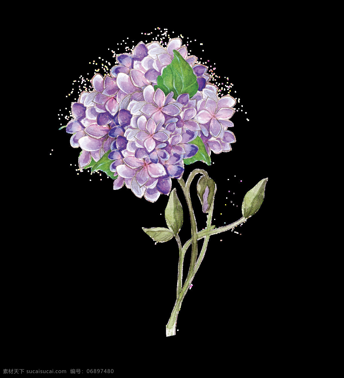 紫 衣 花束 透明 装饰 花朵 紫色 矢量素材 设计素材 平面素材
