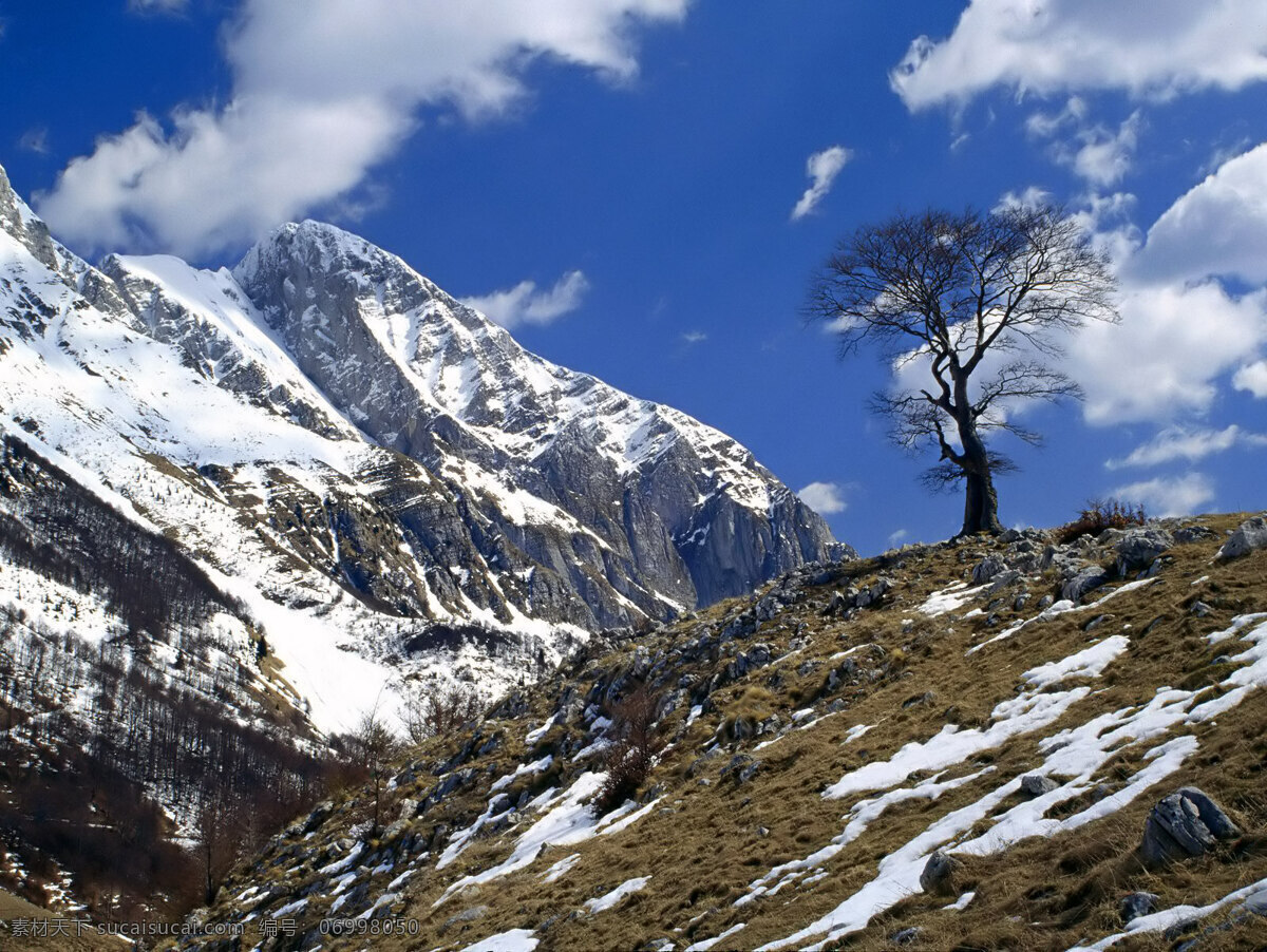 雪景 背景 模板