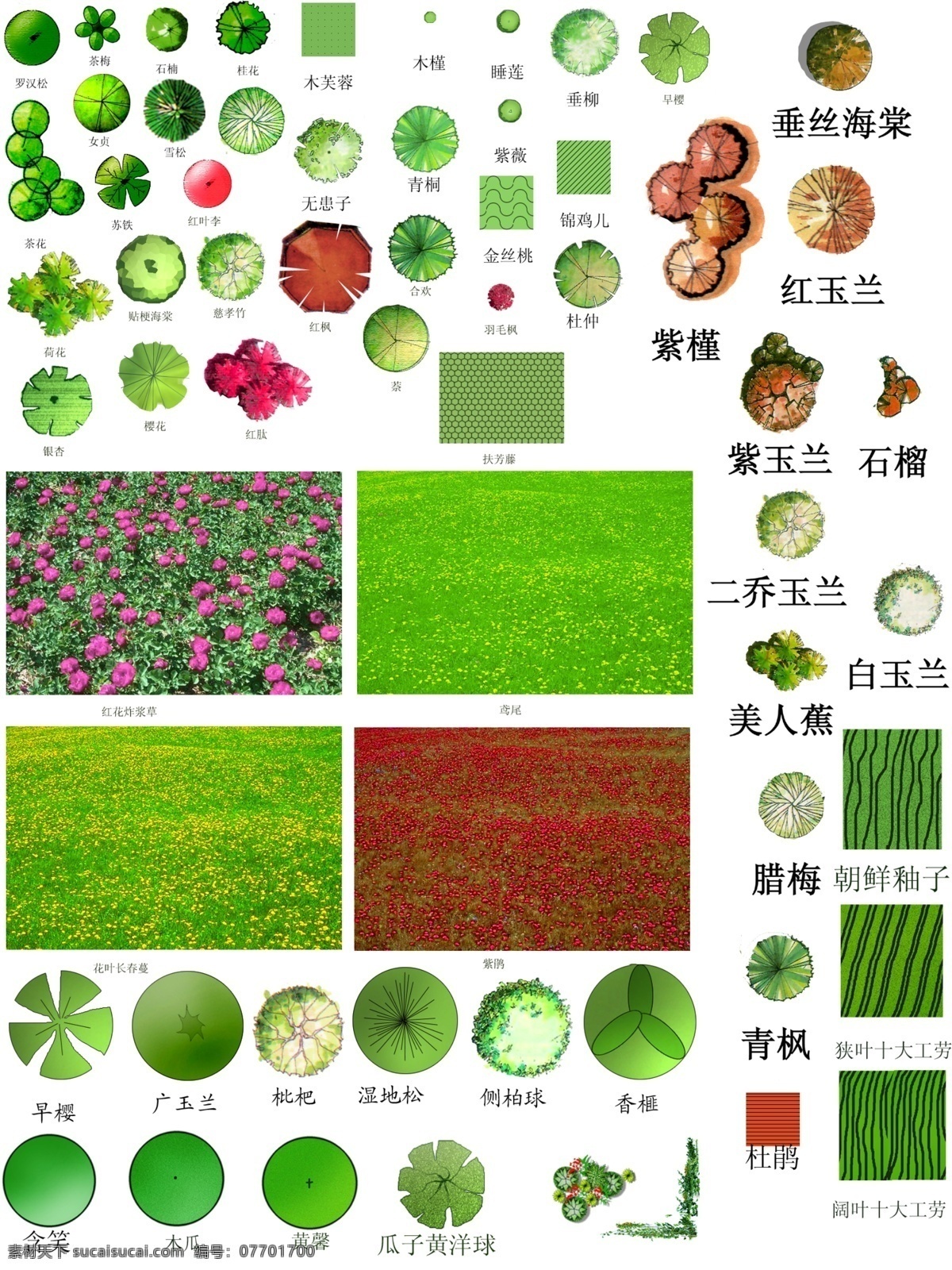 分层 花草 绿化 室内平面 源文件 植物 平面图 模板下载 花草平面图 装饰素材 园林景观设计