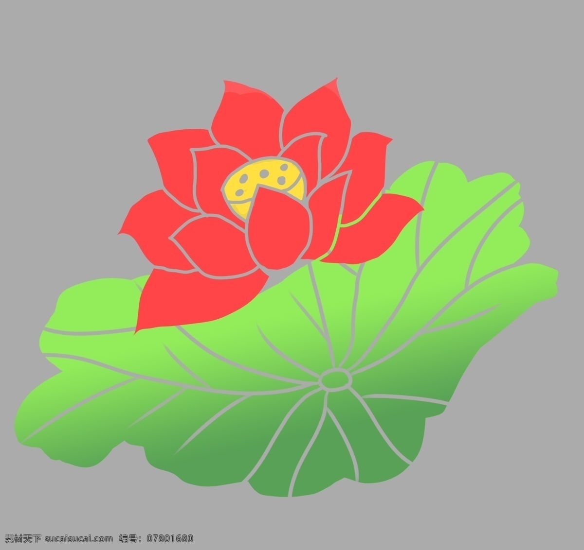 红色 花瓣 莲藕 图案 荷叶 清新 水墨