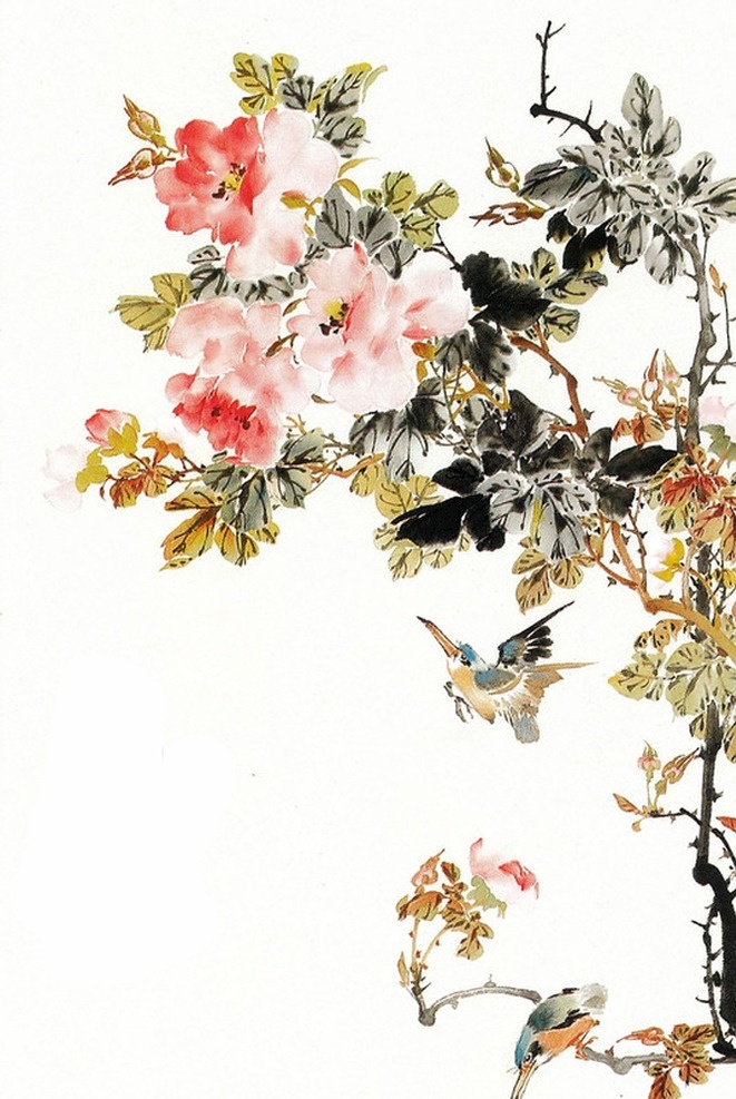 国画 中国风 水墨画 花鸟 水彩画 中国画 写意 水彩牡丹 工笔画 文化艺术 传统文化