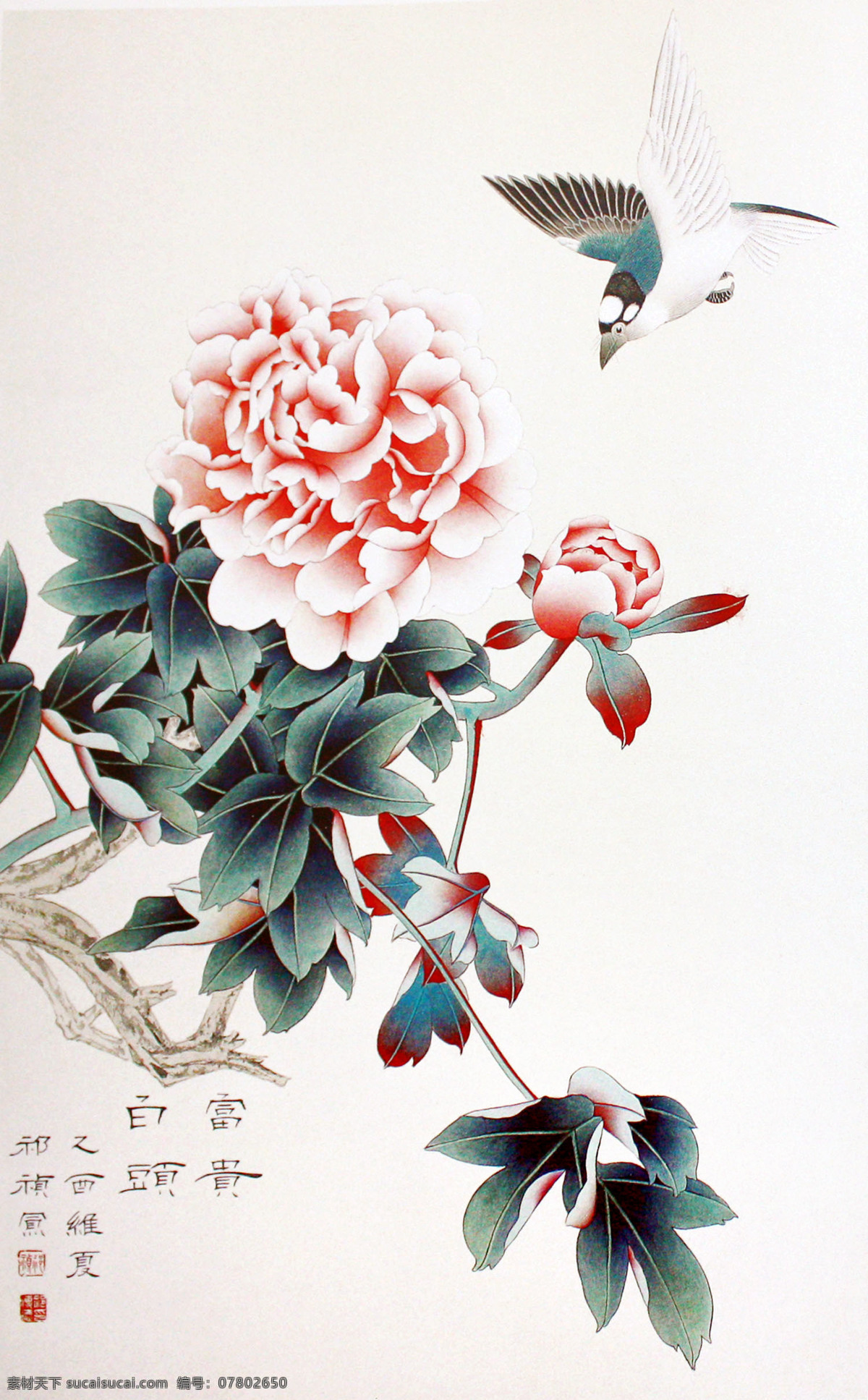 富贵白头 美术 中国画 水墨画 花木 花朵 牡丹花 白头鸟 国画艺术 国画集82 绘画书法 文化艺术