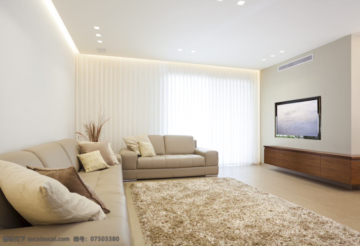 简洁 客厅 里 沙发 地毯 电视 抱枕 室内设计 环境家居