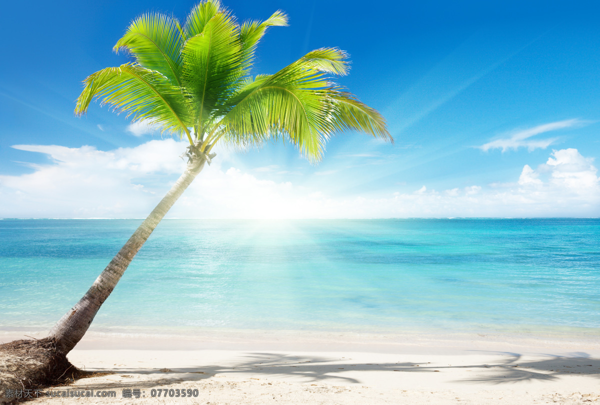 海边 椰子树 大海 海浪 蓝天 白云 阳光 沙滩 自然风光 大海图片 风景图片