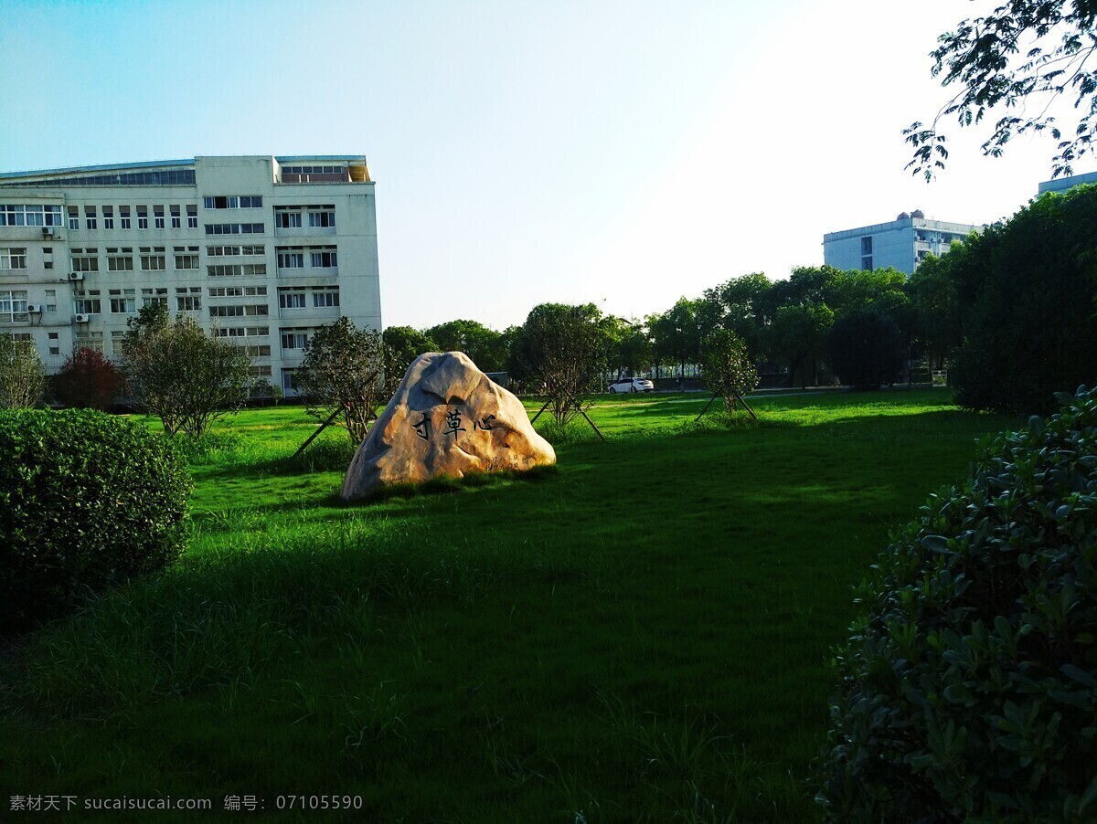 校园景观 校园 绿化 大学 学校景观 园林 自然景观 建筑景观