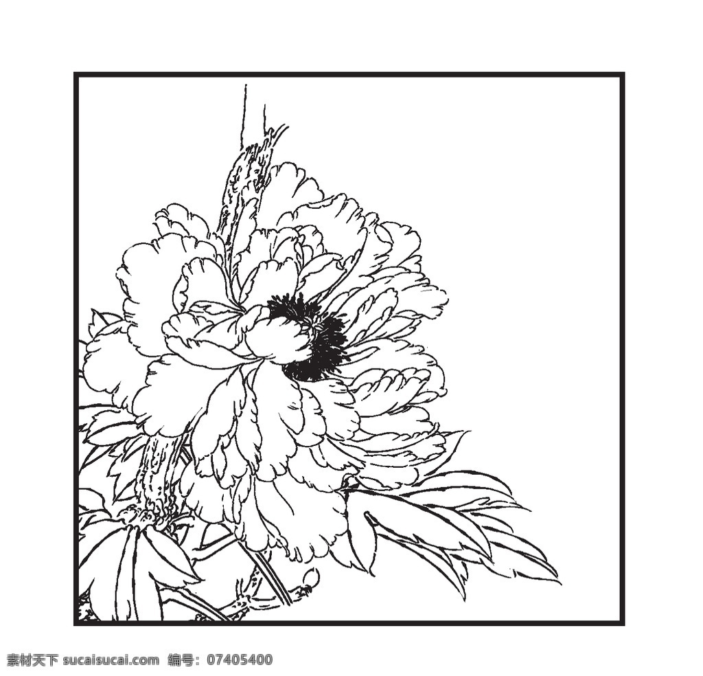 牡丹 花纹 花卉 植物 观赏 线条 矢量 传统 民俗 装饰 插画 富贵 花卉白描图 生物世界 花草