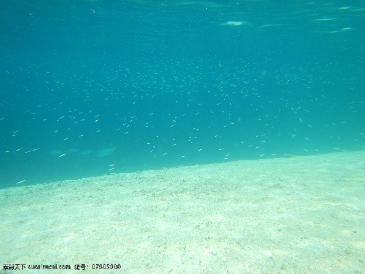 清澈 海水 小鱼 马尔代夫 珊瑚礁 大海 海底世界 海洋 蓝色海洋 湛蓝 热带 生物 psd素材 自然景观 自然风景