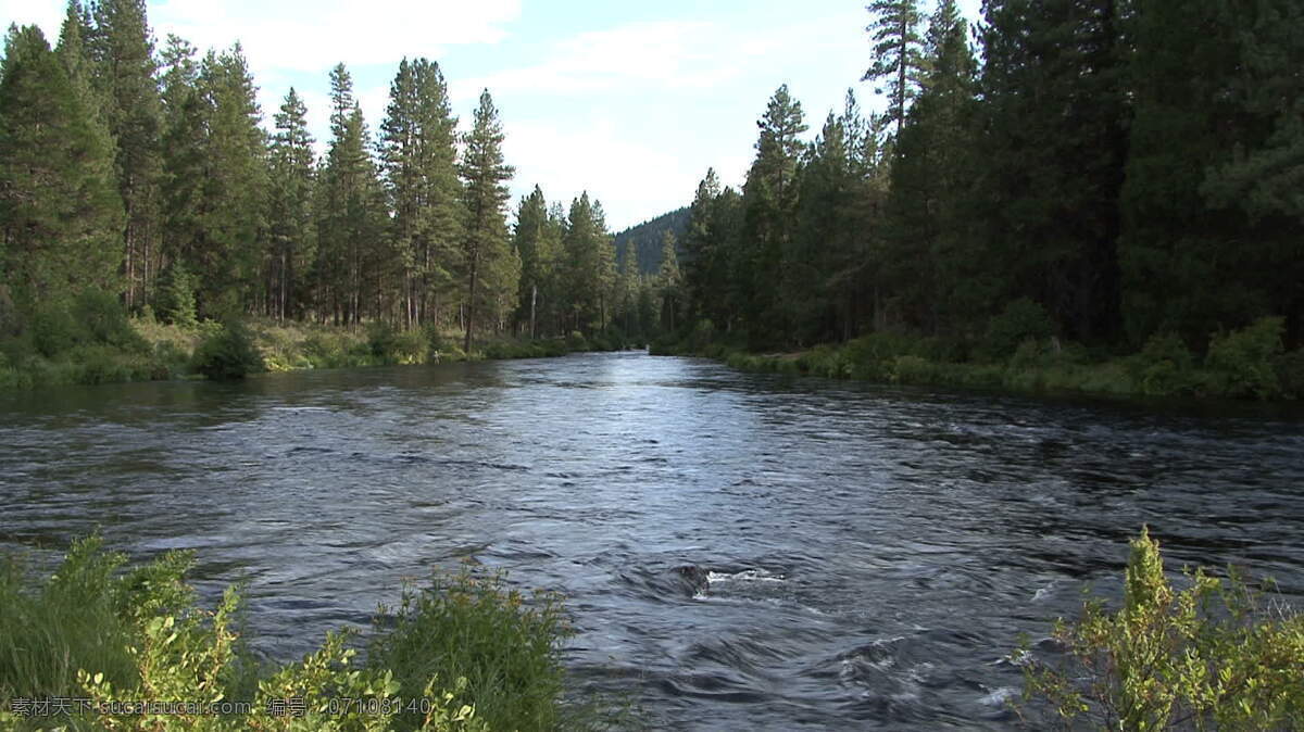 俄勒冈 metolius 河 股票 录像 山 树 松树 自然 水 流 视频 其他视频