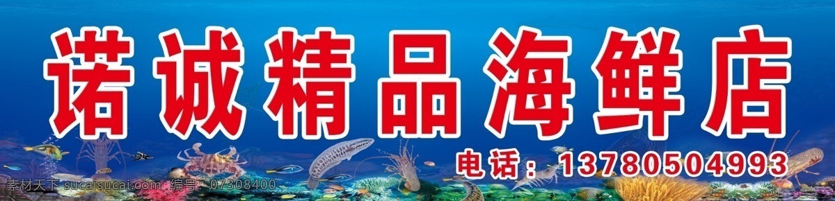 诺 诚 精品 海鲜 店门 头 牌匾 海鲜图片 蓝色背景 鱼虾珊瑚 螃蟹 大龙虾图片 海贝 展板模板