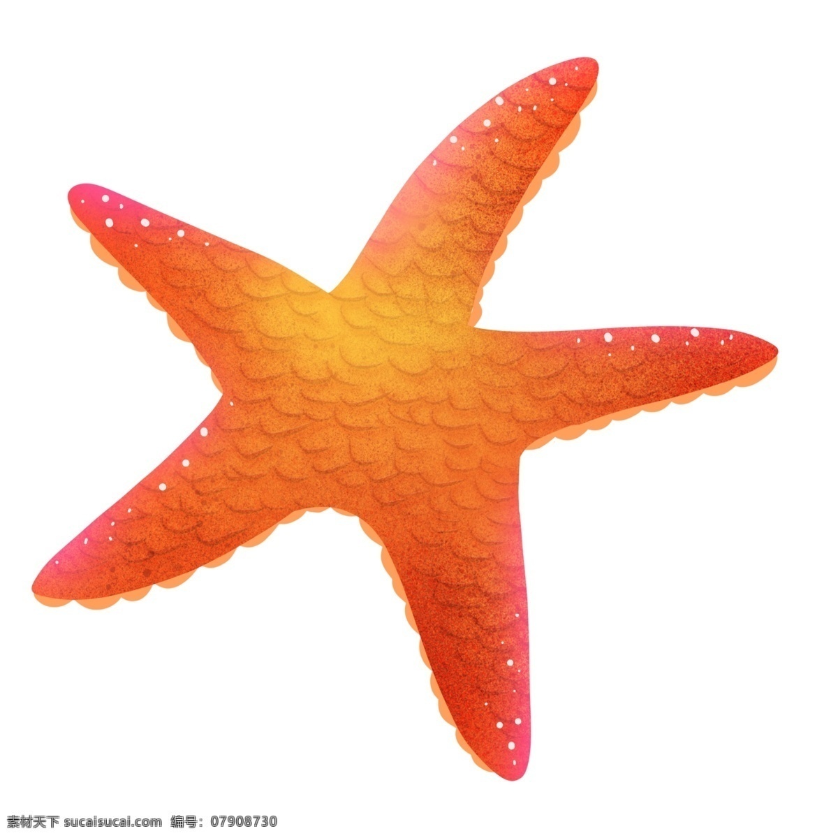 红色可爱海星 海星 海洋 生物