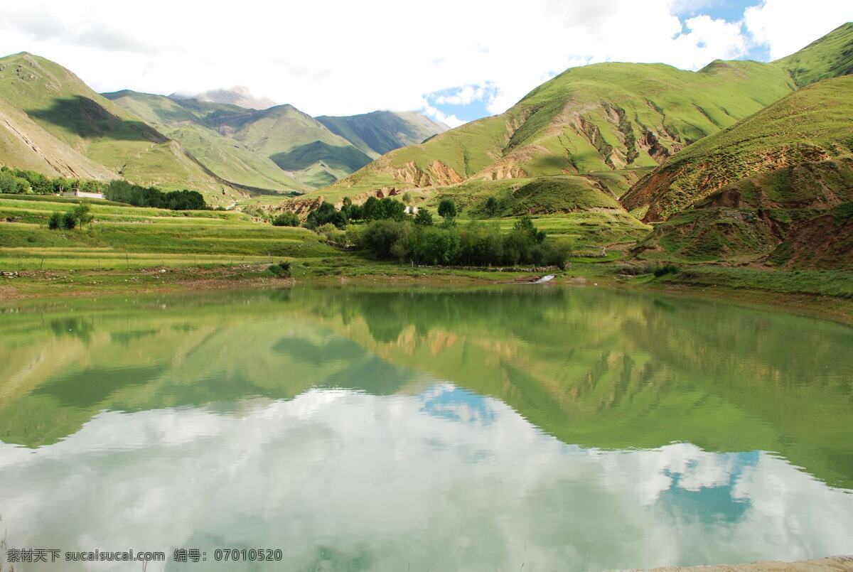 树免费下载 风景 绿色 山水风景 摄影图 树 植物 自然景观 水 家居装饰素材 山水风景画