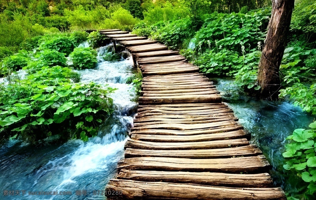 高清木桥风景 树林 小桥 流水 木桥 树木 树叶 桥梁 自然风光 自然风景 自然景观 山水风景