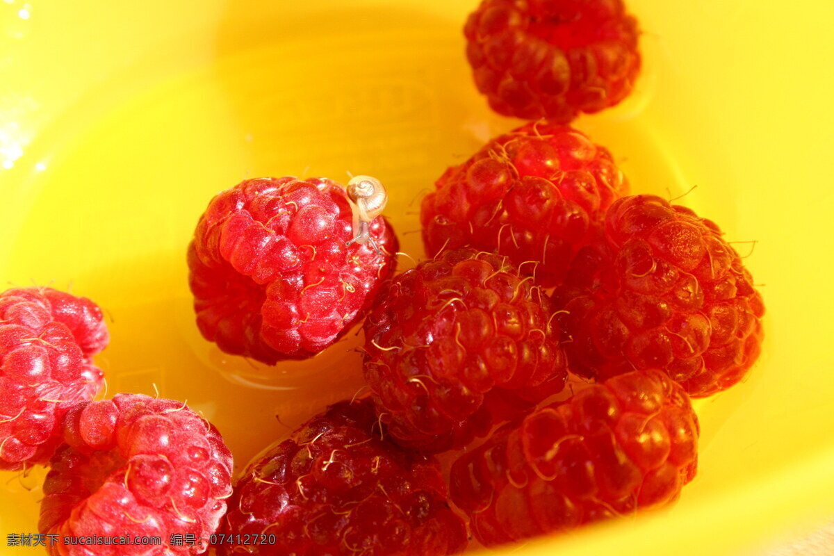新鲜 覆盆子 山莓 果实 果子 浆果 野果