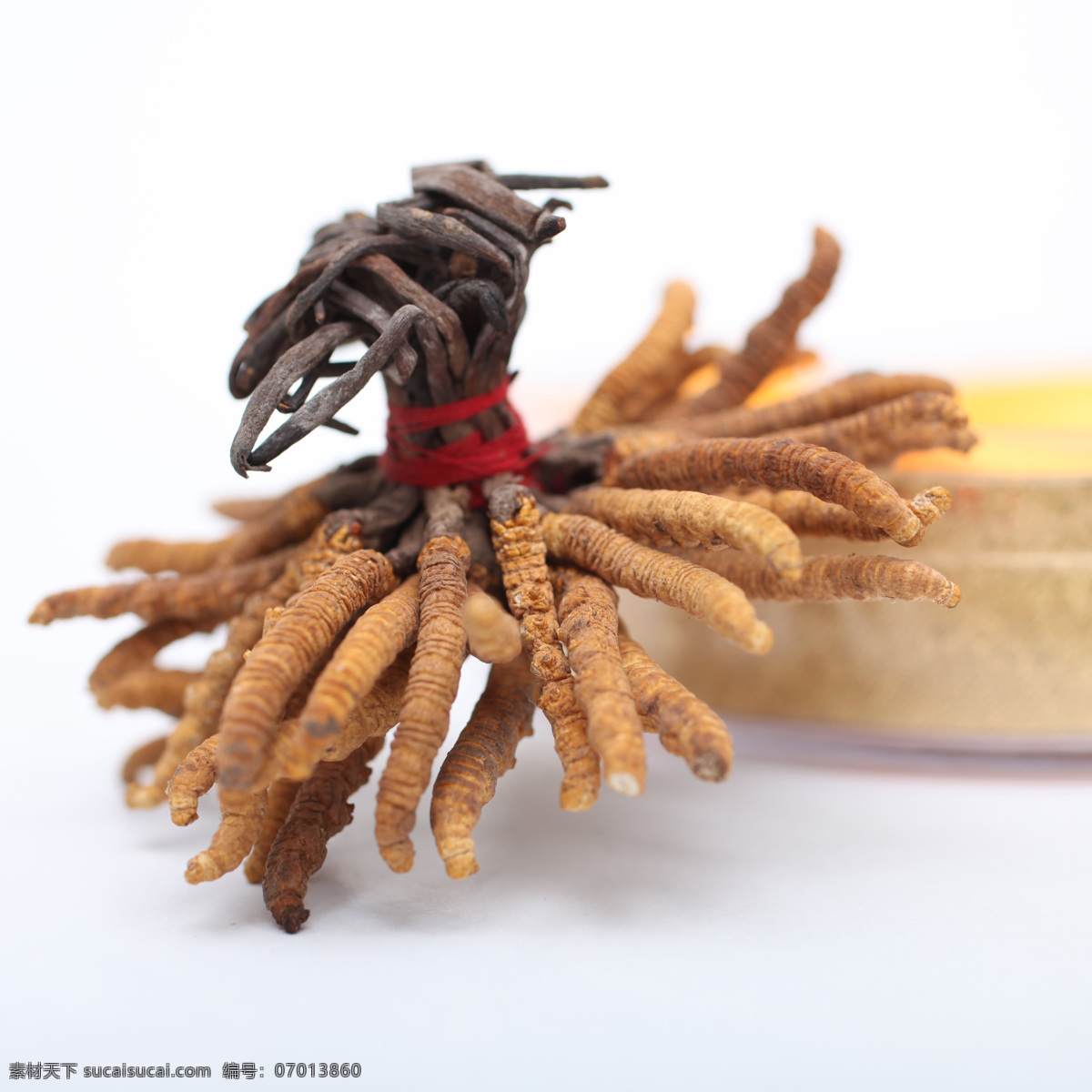 冬虫夏草 虫草 保健品 滋补品 名贵药材 产品摄影 生活百科