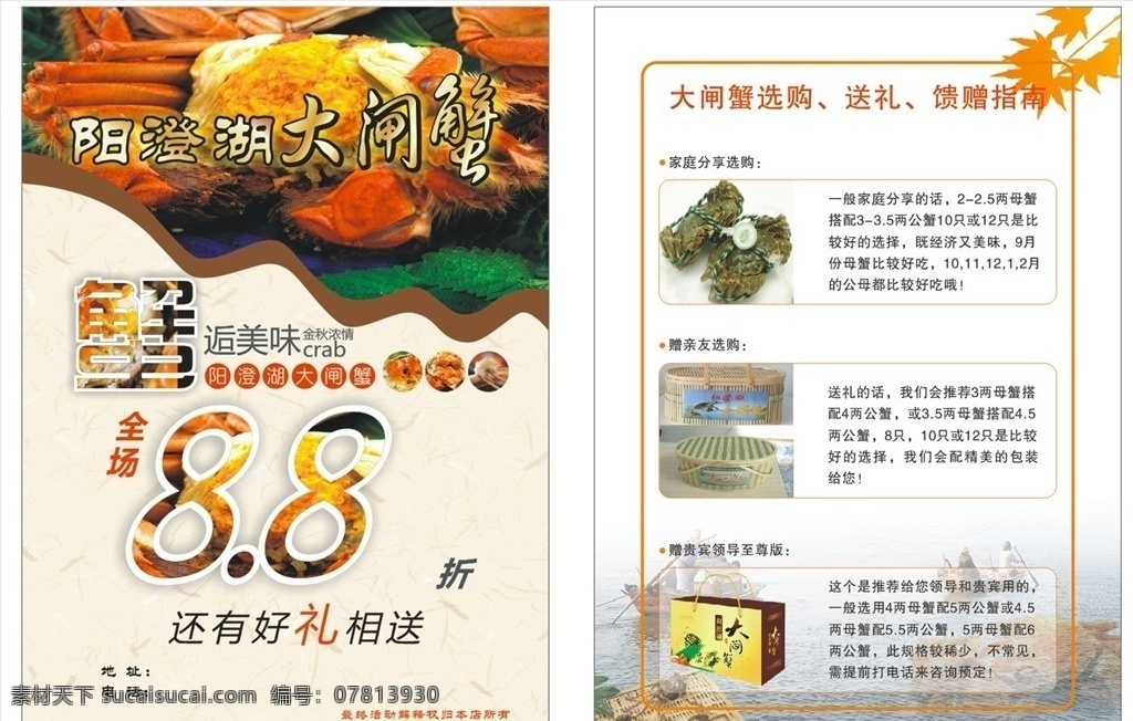 阳澄湖大闸蟹 阳澄湖 大闸蟹 单页 大闸蟹dm单 蟹美味 送礼送蟹 dm宣传单