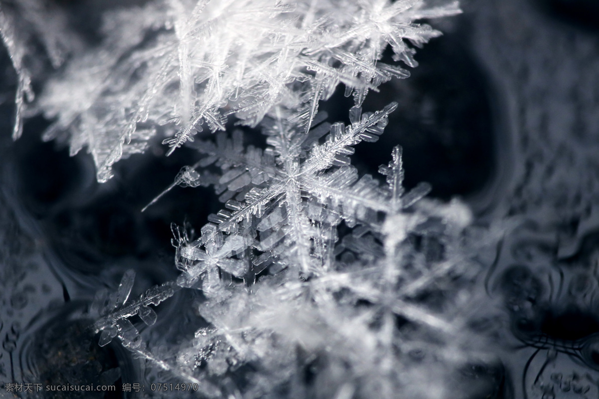 微 距 雪花 微距 北京 冬天 寒冷 冰晶 雪 六边形 结晶 晶体 微观 世界