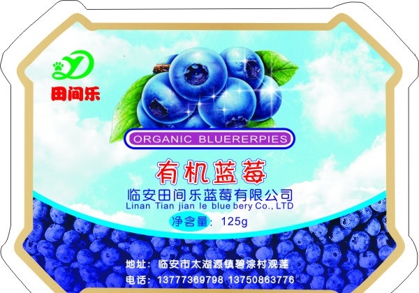 蓝莓标签 蓝莓 矢量
