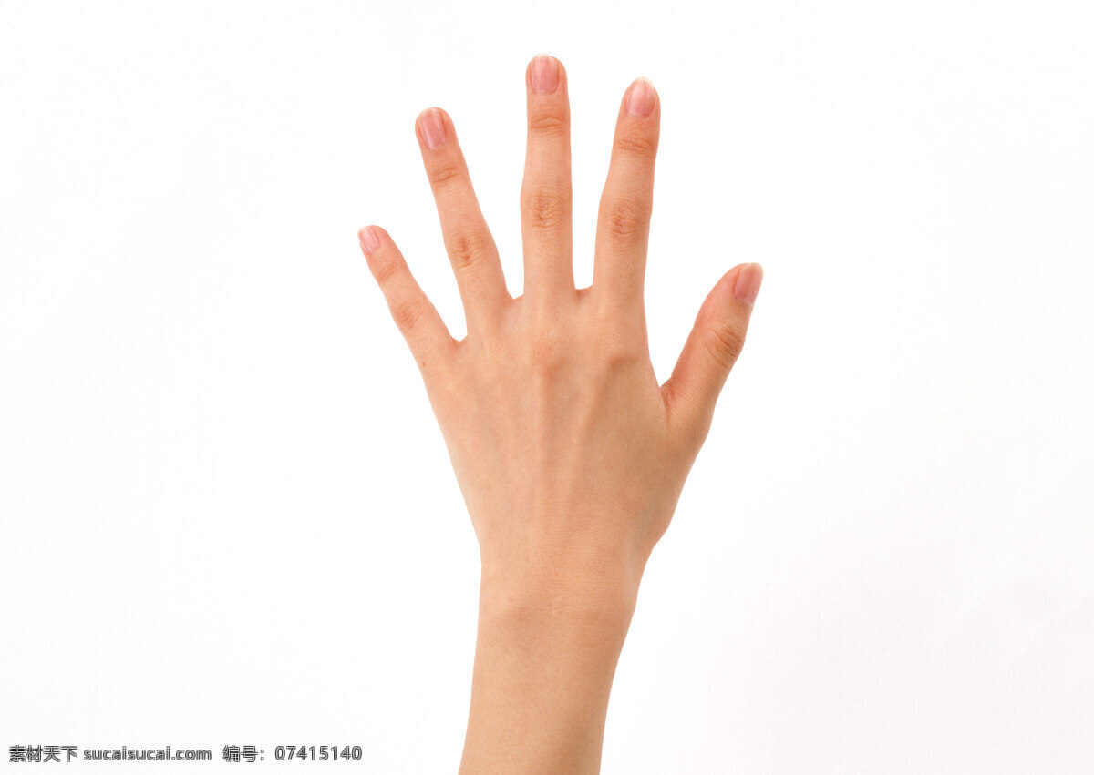 手势 肢体语言 手掌 手指 拳头 肢体 生活百科