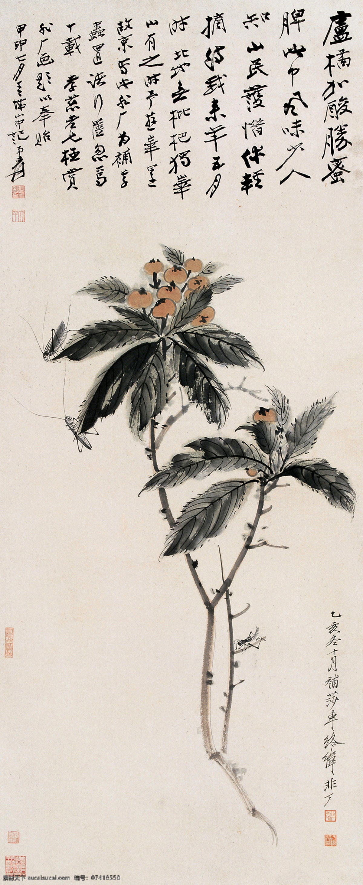 蚂蚱 秋叶 果实 草虫 古典 国画 于非闇 工笔 花鸟 名家工笔花鸟 绘画书法 文化艺术