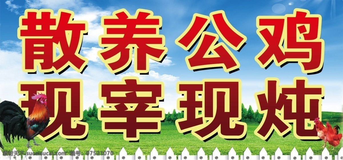 活公鸡招牌 公鸡 草地 招牌 蓝天 饭店 国内广告设计 广告设计模板 源文件