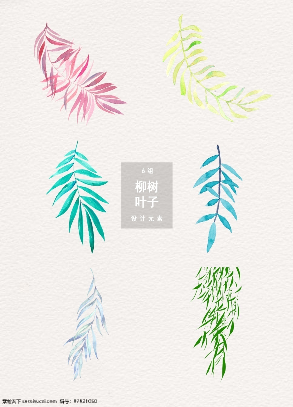清新 柳树 叶子 装饰 图案 柳枝素材 柳叶 端午 元素