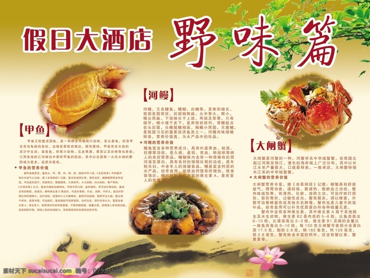 野味免费下载 甲鱼 酒店海报 螃蟹 食谱 食物 食物广告 野生 野味 酒店餐饮菜谱 野味介绍 河鳗 原创设计 原创海报