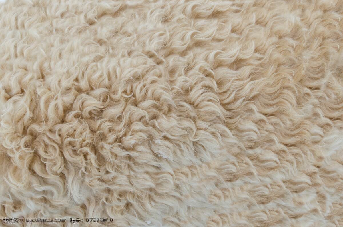 皮毛 绵羊毛 纹理 背景 人造羊毛 羊毛毡 人造毛 羊毛毯 羊毛垫 柔软 舒适 透气 环保 健康 毛绒 保暖 长毛 白色 动物 生物世界 家禽家畜