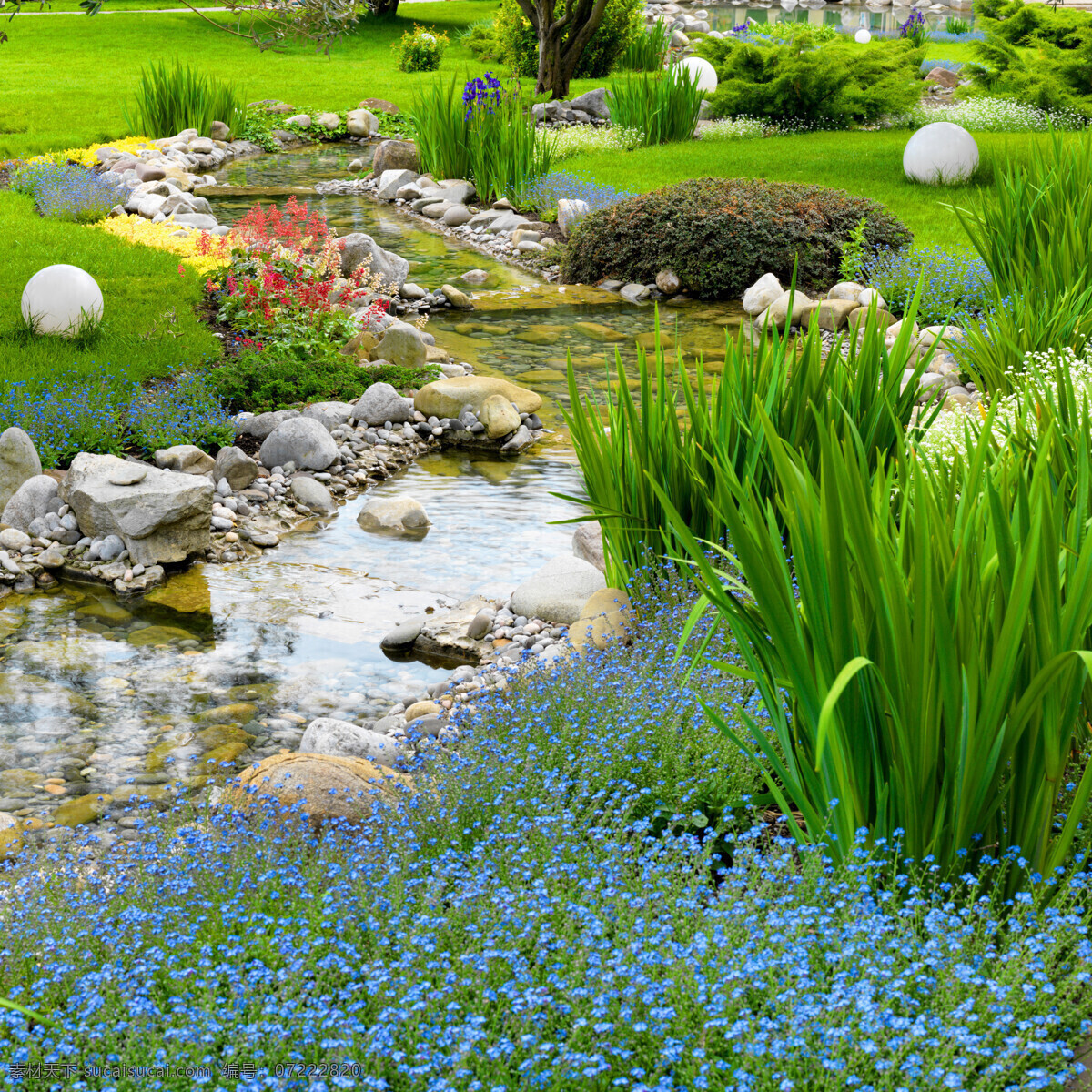 美丽 小溪 植物 风景 美丽花园风景 小溪风景 园艺风景 园艺植物 植物花卉 美丽鲜花 草地 草坪 自然风景 自然景观 绿色