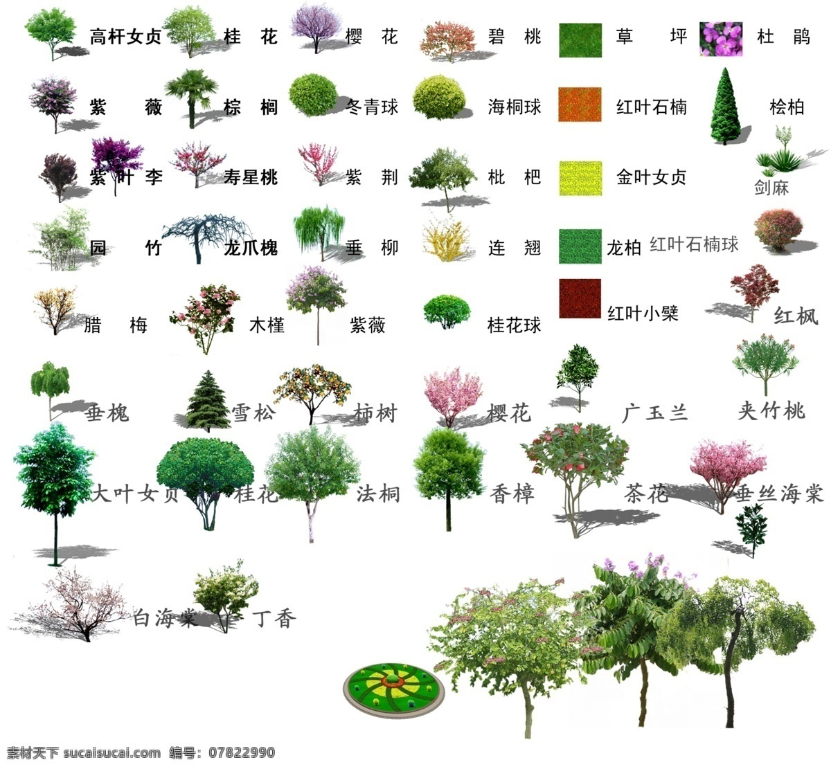 园林绿化 常用 树 绿化 园林素材 园林设计 环境设计 源文件